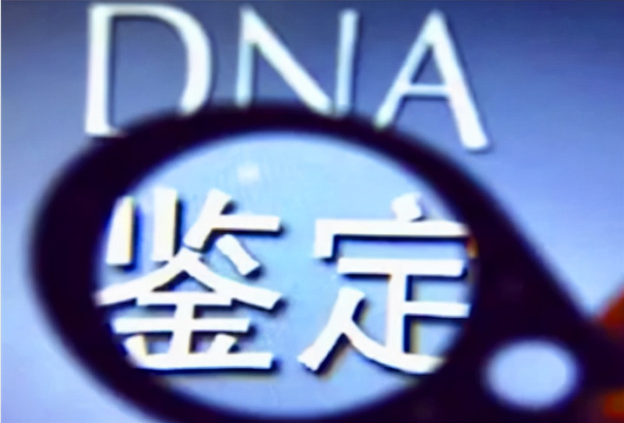 宜昌妇幼保建院可以做亲子鉴定吗,医院做DNA亲子鉴定办理流程指南