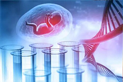 宜昌怀孕期间如何做产前亲子鉴定(2026正规机构地址整理)